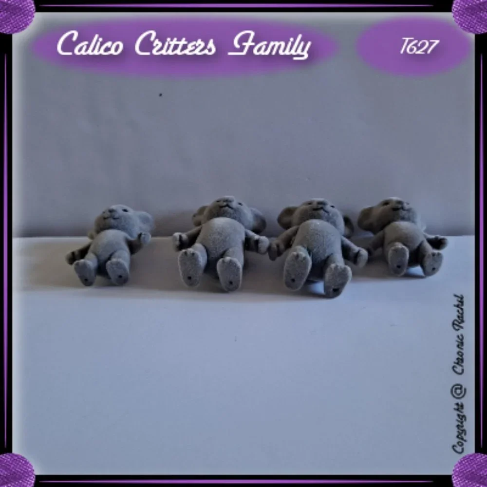 Billabong Koala Family